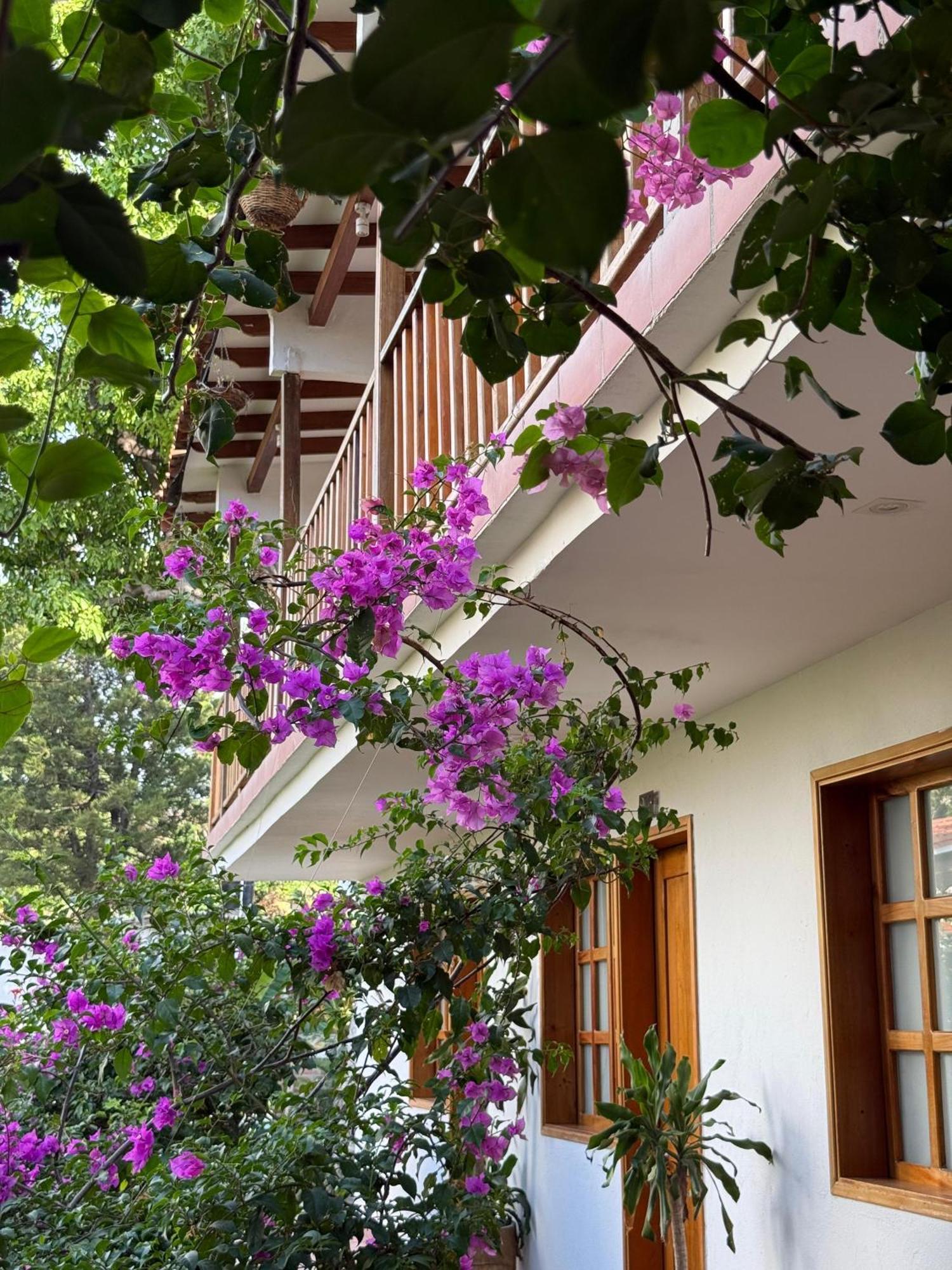 סנטה מרתה Hotel Jardin Boutique Rodadero מראה חיצוני תמונה